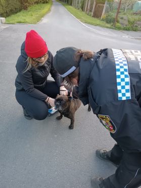 IMG_20240424_192838 IMG_20240424_192838