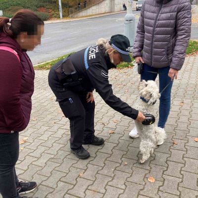 kontrolapsi kontrolapsi