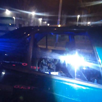 Pejsek v autě Pejsek v autě