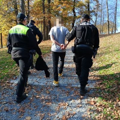 podvinicemi podvinicemi