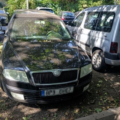 WhatsApp Image 2024-09-09 at 12.32.57 (1) WhatsApp Image 2024-09-09 at 12.32.57 (1)