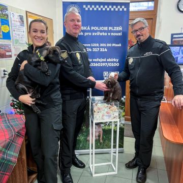 WhatsApp Image 2024-12-05 at 14.58.33