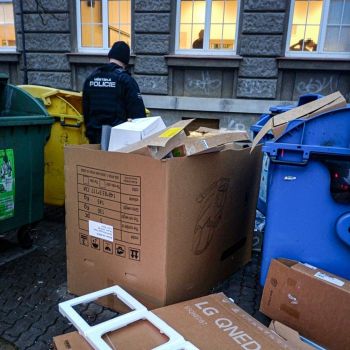 WhatsApp Image 2024-12-10 at 16.35.19