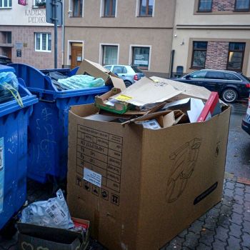 WhatsApp Image 2024-12-10 at 16.35.20 WhatsApp Image 2024-12-10 at 16.35.20