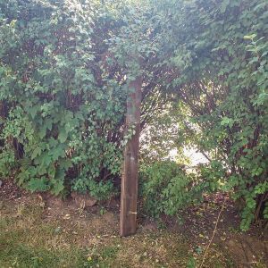 WhatsApp Image 2025-06-30 at 12.41.44 (2) WhatsApp Image 2025-06-30 at 12.41.44 (2)