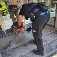 WhatsApp Image 2025-07-04 at 12.18.30