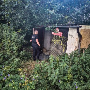 WhatsApp Image 2025-07-05 at 12.02.37 WhatsApp Image 2025-07-05 at 12.02.37