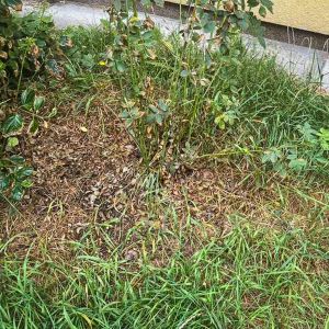 WhatsApp Image 2025-07-08 at 09.12.03 (1) WhatsApp Image 2025-07-08 at 09.12.03 (1)