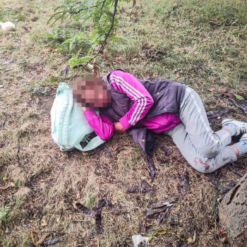 WhatsApp Image 2025-07-25 at 11.13.32 WhatsApp Image 2025-07-25 at 11.13.32