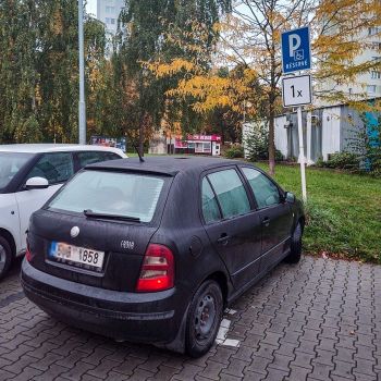 WhatsApp Image 2025-10-17 at 09.06.32 WhatsApp Image 2025-10-17 at 09.06.32