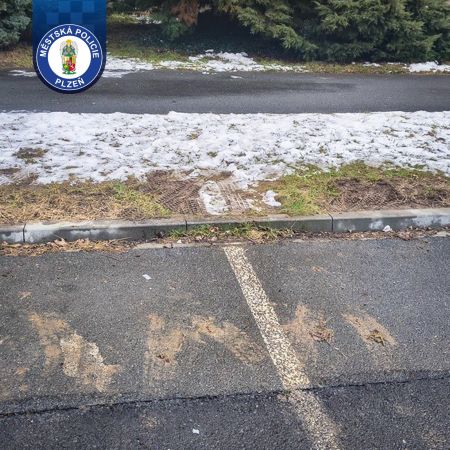 WhatsApp Image 2026-02-19 at 09.28.50 (1) WhatsApp Image 2026-02-19 at 09.28.50 (1)