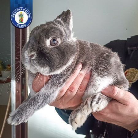 WhatsApp Image 2026-03-28 at 11.24.22 WhatsApp Image 2026-03-28 at 11.24.22