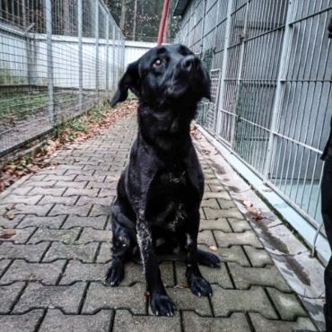 Žofka č_3 Žofka č_3